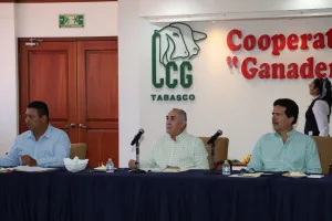 Celebra CCG Tabasco su 317° Junta de Consejo