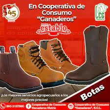 Producto Nuevo