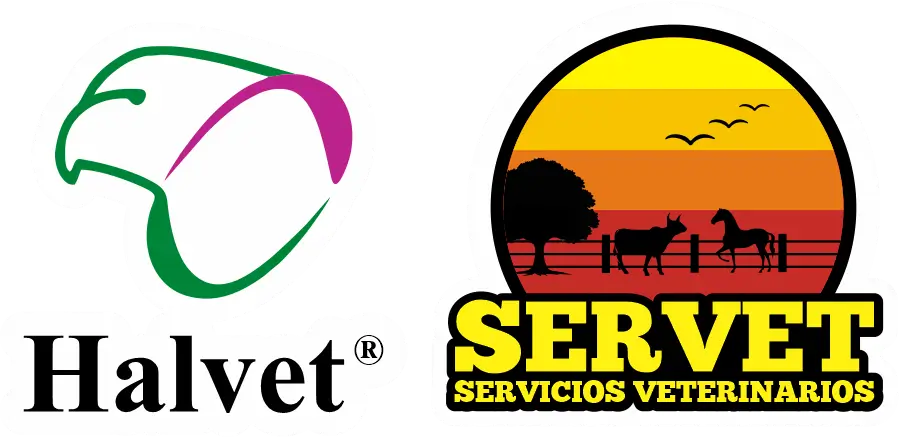 Halvet - Servet