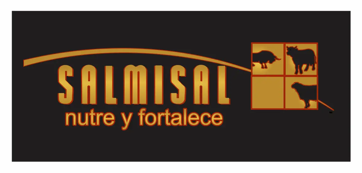 Salmisal