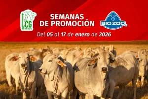SEMANAS DE PROMOCIÓN: Bio Zoo
