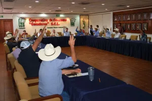 Celebra CCG Tabasco su 318° Junta de Consejo