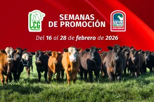 SEMANAS DE PROMOCIÓN: InterChembio