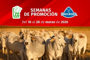 SEMANAS DE PROMOCIÓN: Bio Zoo