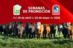 SEMANAS DE PROMOCIÓN: InterChembio