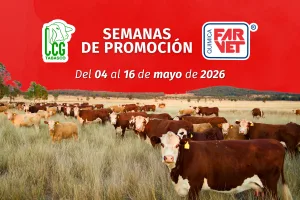 SEMANAS DE PROMOCIÓN: Química Farvet