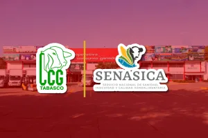 SENASICA emite precisiones sobre productos farmacéuticos veterinarios con penicilina