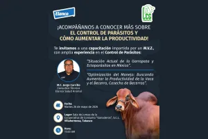 Control de Parásitos: Clave para Aumentar la Productividad Ganadera