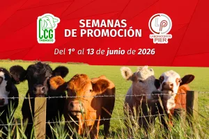 SEMANAS DE PROMOCIÓN: Laboratorios Pier